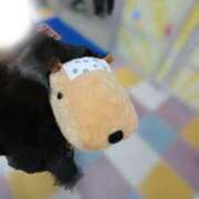 ヒメ日記 2026/03/19 23:59 投稿 ゆうあ 素人系イメージSOAP彼女感大宮館