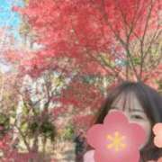 ゆうみ います❣️ 京都出張メンズエステChou Chou（シュシュ)