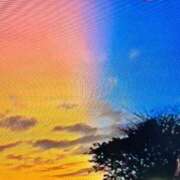 ヒメ日記 2025/12/31 18:04 投稿 杉浦　れいさ しこたま奥様 札幌店