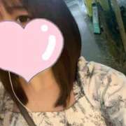 ヒメ日記 2026/01/15 14:55 投稿 せしる IRIS(岐阜)