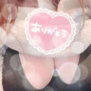 ヒメ日記 2026/01/24 17:59 投稿 さら 蒲田ちゃんこ