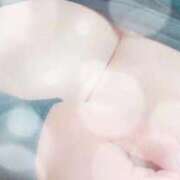 ヒメ日記 2026/01/25 12:40 投稿 さら 蒲田ちゃんこ