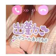 ヒメ日記 2026/01/25 14:49 投稿 さら 蒲田ちゃんこ