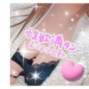 ヒメ日記 2026/03/10 16:49 投稿 さら 蒲田ちゃんこ