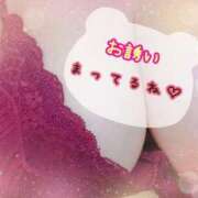 ヒメ日記 2026/05/09 20:29 投稿 さら 蒲田ちゃんこ