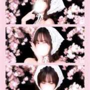 ヒメ日記 2026/03/31 13:07 投稿 れいな ごほうびSPA福岡店