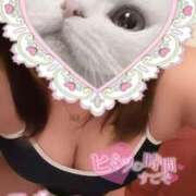 ヒメ日記 2026/02/02 00:47 投稿 うみ めっちゃスイスク京都店