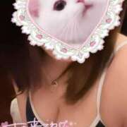 ヒメ日記 2026/02/02 02:49 投稿 うみ めっちゃスイスク京都店