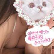 ヒメ日記 2026/02/20 18:42 投稿 うみ めっちゃスイスク京都店