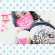 ヒメ日記 2026/02/28 14:20 投稿 花野 BBW（ビッグビューティフルウーマン）