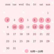 ヒメ日記 2026/02/19 00:21 投稿 早乙女りか Evolution1st キタ兎我野店