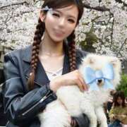 ヒメ日記 2026/04/05 19:51 投稿 早乙女りか Evolution1st キタ兎我野店