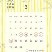 ヒメ日記 2026/03/12 20:21 投稿 早乙女りか Evolution3rd 北新地