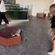 ヒメ日記 2026/03/15 09:51 投稿 早乙女りか Evolution3rd 北新地