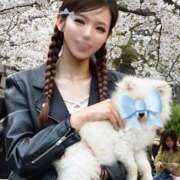 ヒメ日記 2026/04/05 19:51 投稿 早乙女りか Evolution3rd 北新地