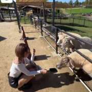 ヒメ日記 2026/04/12 12:51 投稿 早乙女りか Evolution3rd 北新地