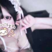 ヒメ日記 2026/02/15 04:25 投稿 りら E+アイドルスクール新宿・歌舞伎町店