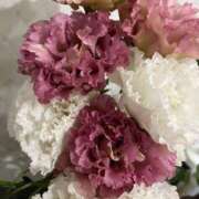 ヒメ日記 2026/01/16 00:01 投稿 れい ZERO