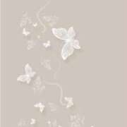 ヒメ日記 2026/01/19 02:07 投稿 れい ZERO