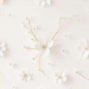 ヒメ日記 2026/01/22 11:52 投稿 れい ZERO