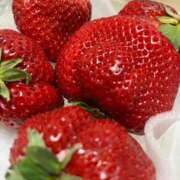 ヒメ日記 2026/02/25 22:32 投稿 れい ZERO