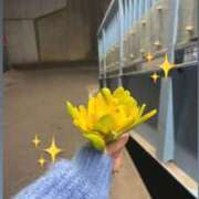 ヒメ日記 2026/02/26 17:12 投稿 れい ZERO