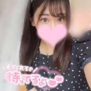 ヒメ日記 2026/04/19 21:35 投稿 みみ パイの巣