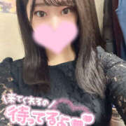 ヒメ日記 2026/04/23 20:17 投稿 みみ パイの巣