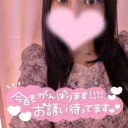 みみ おはよう🩵 パイの巣