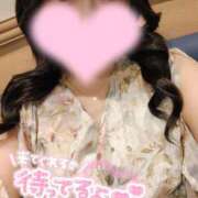 みみ おはよう🩵 パイの巣