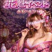 ヒメ日記 2026/04/06 20:03 投稿 せな パイの巣