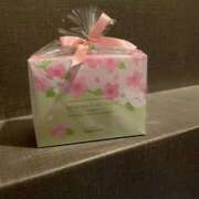 ヒメ日記 2026/03/04 11:35 投稿 ねお 大宮ウィング