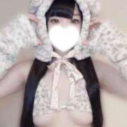 かな ジャパンクラブ富士の かなちゃん参上❤️ ジャパンクラブ富士