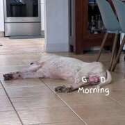 ヒメ日記 2026/04/16 22:04 投稿 るりか 奥様特急　立川店