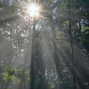 ヒメ日記 2026/01/04 07:25 投稿 一条 いのり 妻の友人