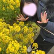 ヒメ日記 2026/03/28 17:52 投稿 浜辺 ゆい☆4 TiAmo（ティアモ）