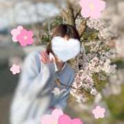 ヒメ日記 2026/04/14 19:22 投稿 浜辺 ゆい☆4 TiAmo（ティアモ）