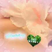 ヒメ日記 2026/01/08 06:12 投稿 桃乃木　のん☆4 TiAmo（ティアモ）