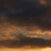 ヒメ日記 2026/01/07 14:43 投稿 ネネカ MEGA PALACE(メガパレス）