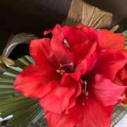 ヒメ日記 2026/01/10 15:13 投稿 ネネカ MEGA PALACE(メガパレス）