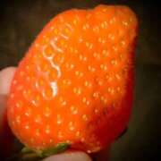 ヒメ日記 2026/01/28 08:16 投稿 ネネカ MEGA PALACE(メガパレス）