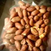 ヒメ日記 2026/01/28 12:10 投稿 ネネカ MEGA PALACE(メガパレス）