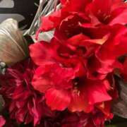 ヒメ日記 2026/02/05 22:13 投稿 ネネカ MEGA PALACE(メガパレス）