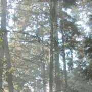 ヒメ日記 2026/02/17 15:03 投稿 ネネカ MEGA PALACE(メガパレス）