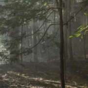 ヒメ日記 2026/02/18 08:18 投稿 ネネカ MEGA PALACE(メガパレス）