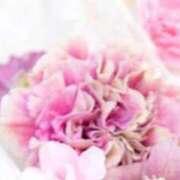 ヒメ日記 2026/02/28 22:43 投稿 ネネカ MEGA PALACE(メガパレス）