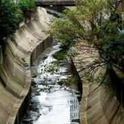 ヒメ日記 2026/03/13 14:13 投稿 ネネカ MEGA PALACE(メガパレス）