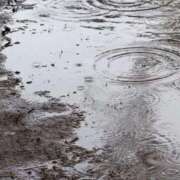 ヒメ日記 2026/03/21 08:15 投稿 ネネカ MEGA PALACE(メガパレス）