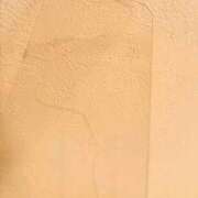 ヒメ日記 2026/03/21 13:03 投稿 ネネカ MEGA PALACE(メガパレス）