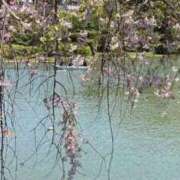 ヒメ日記 2026/03/28 22:13 投稿 ネネカ MEGA PALACE(メガパレス）